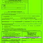 Tenant Credit And Background Check Authorization Form Form Resume